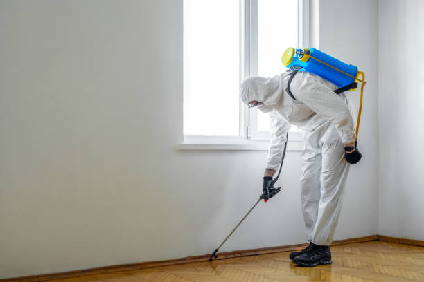 Emergency Pest Control Services in Marion, SC